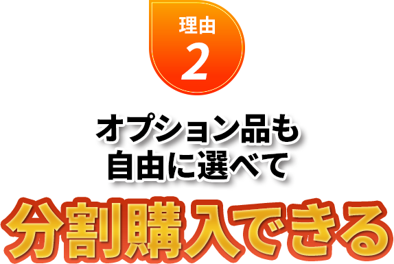 理由2 オプション品も自由に選べて分割購入できる